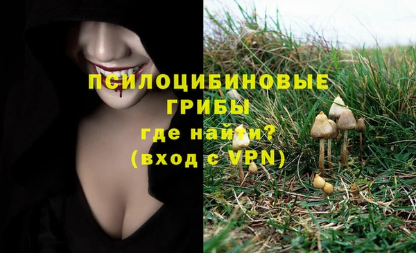ГАЛЛЮЦИНОГЕННЫЕ ГРИБЫ Верхнеуральск