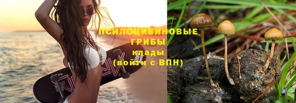 ГАЛЛЮЦИНОГЕННЫЕ ГРИБЫ Верхнеуральск