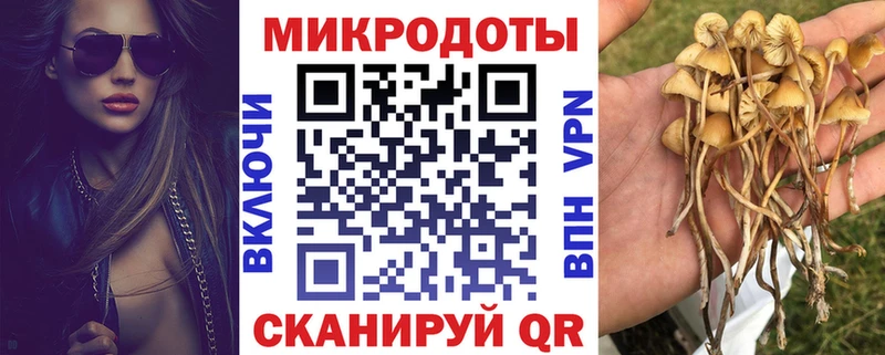 Галлюциногенные грибы прущие грибы  Купить где  Трёхгорный 